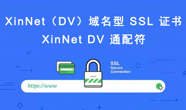 XinNet DV 通配符