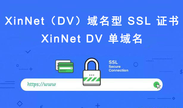 XinNet DV 单域名