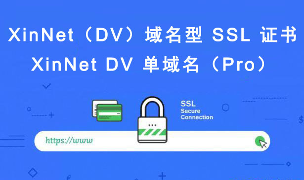XinNet DV 单域名（Pro）