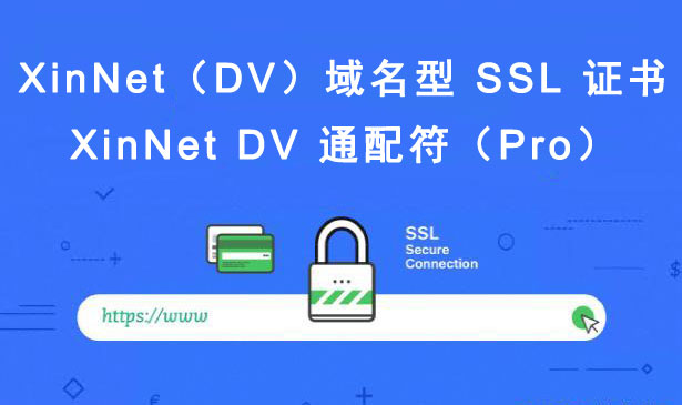 XinNet DV 通配符（Pro）