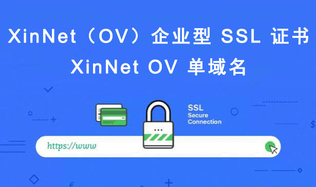 XinNet OV 单域名