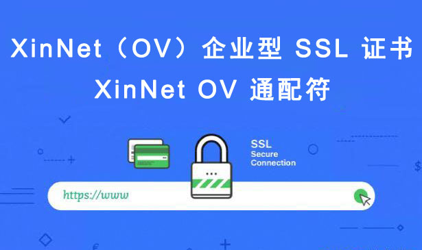 XinNet OV 通配符