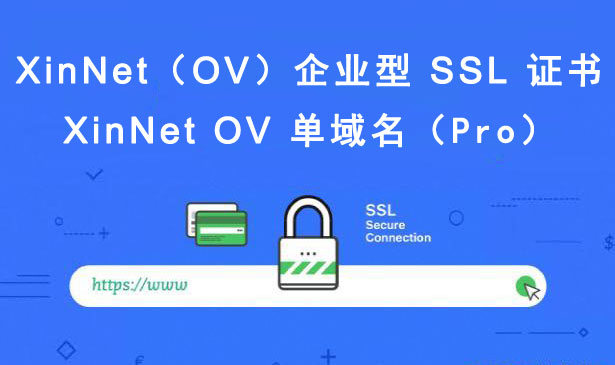 XinNet OV 单域名（Pro）