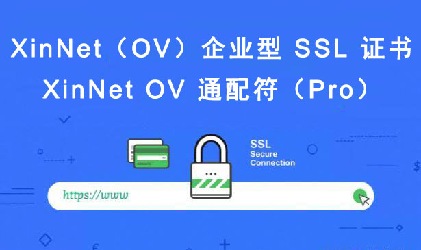 XinNet OV 通配符（Pro）